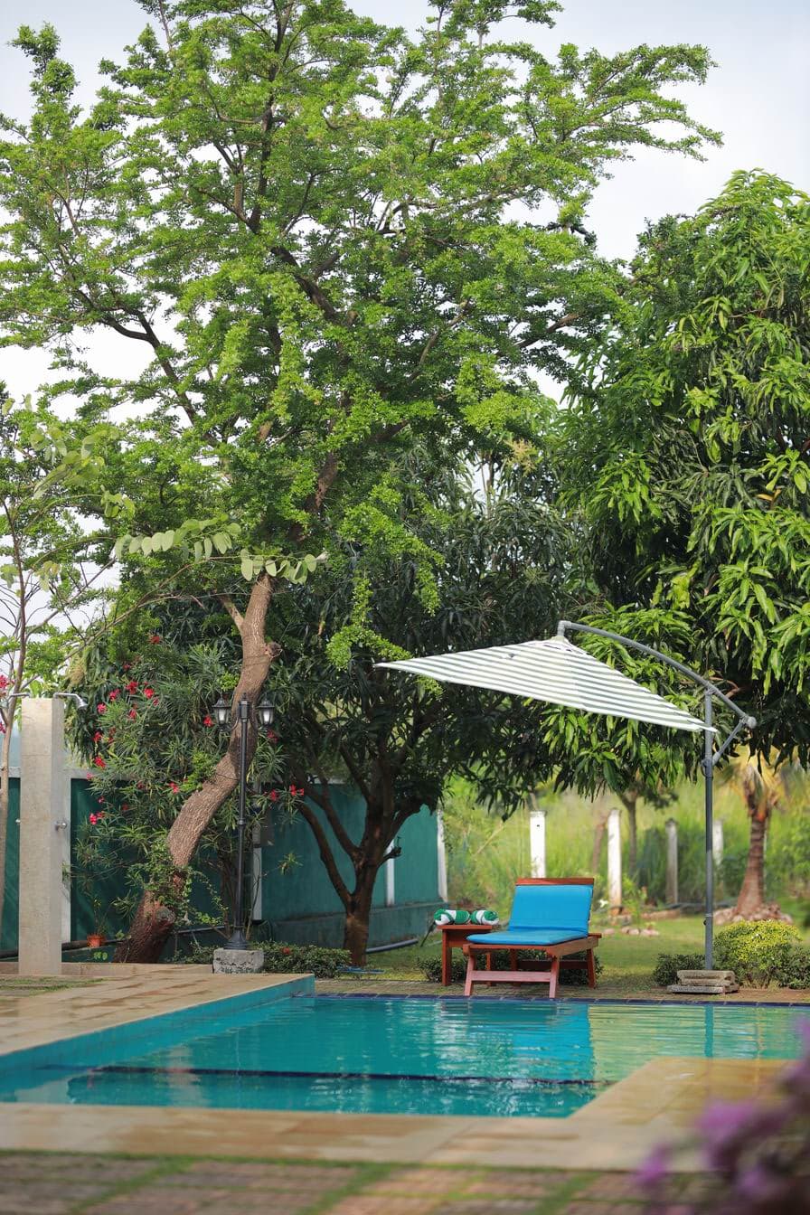 Garden pool