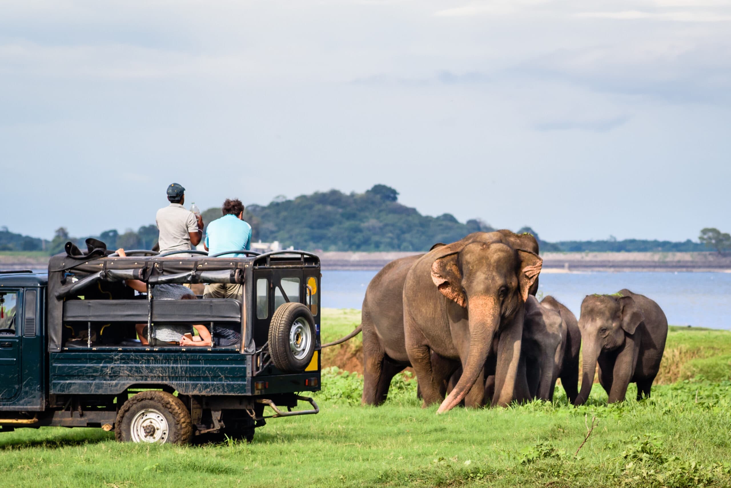 Minneriya & Kaudulla National Parks